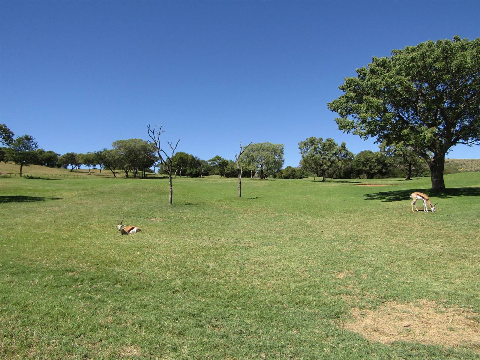 445 m² Land available in Seasons Lifestyle Estate photo number 7