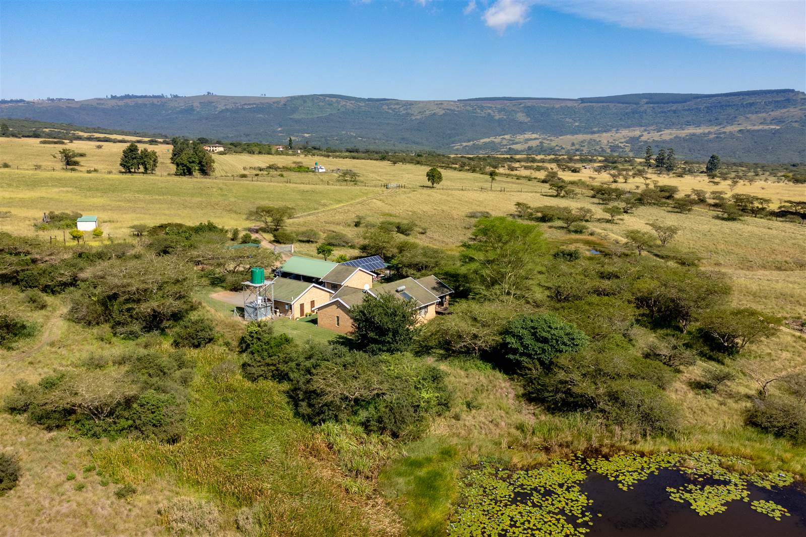 22 ha Smallholding in Greytown photo number 6