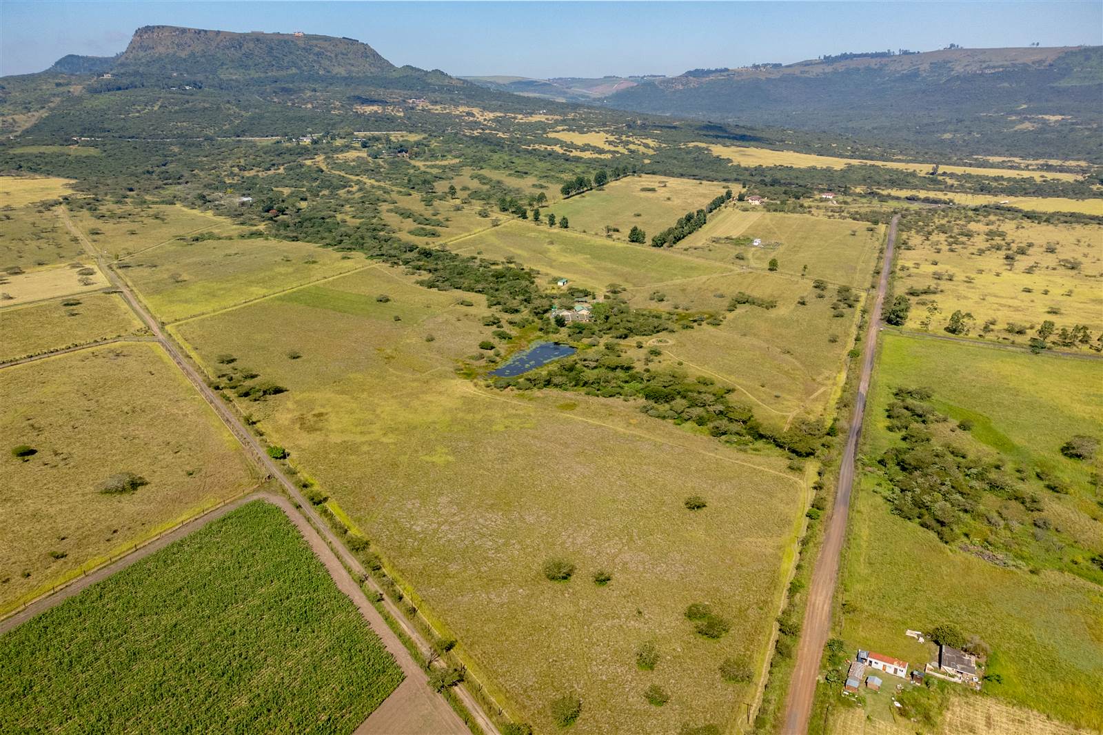 22 ha Smallholding in Greytown photo number 19