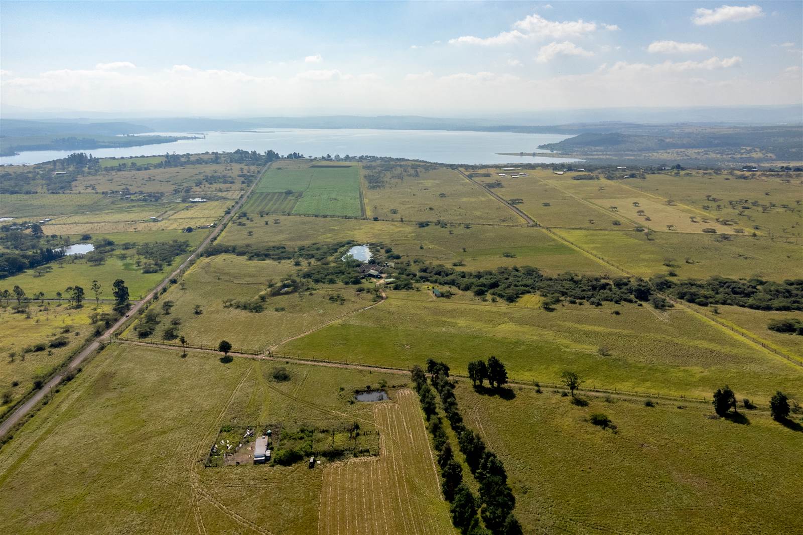 22 ha Smallholding in Greytown photo number 15