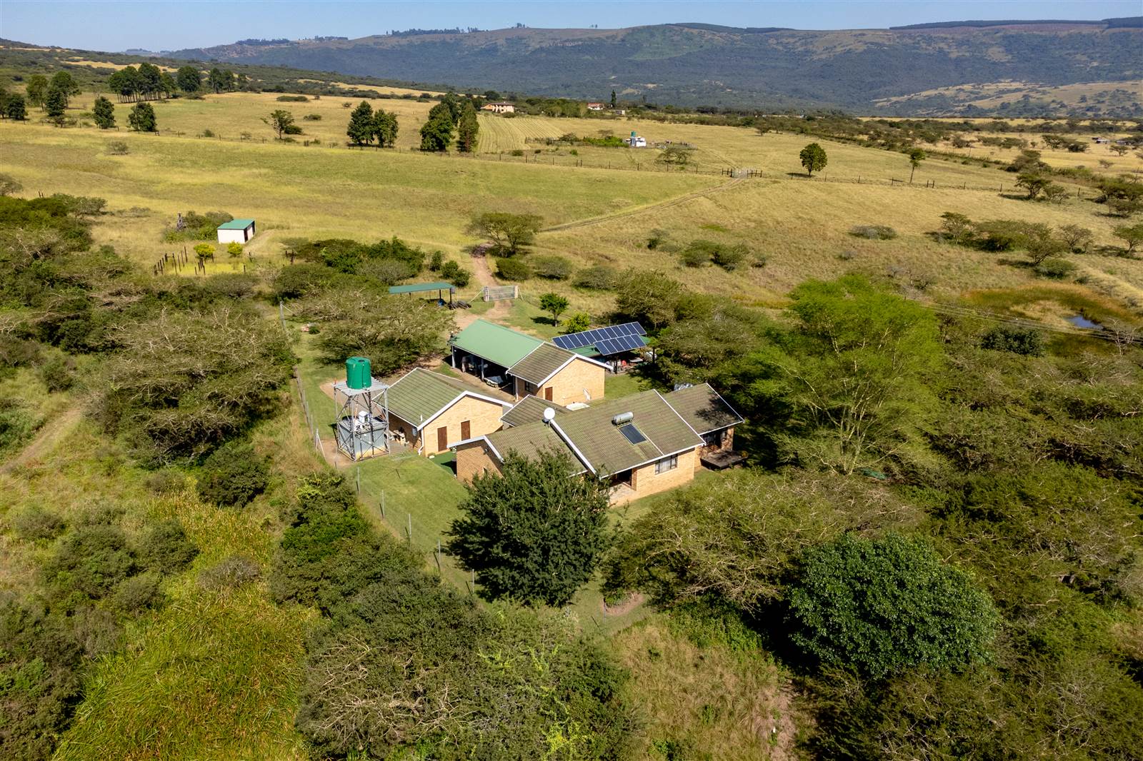 22 ha Smallholding in Greytown photo number 5