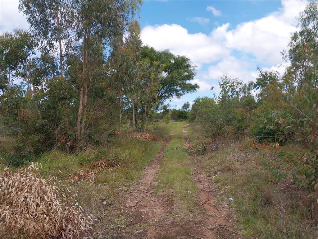 3.9 ha Land for sale in Greenbushes T4840657 Private Property