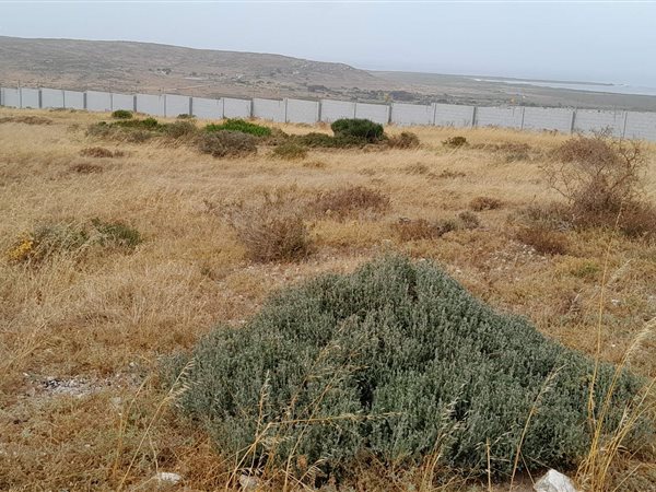 846 m² Land available in Saldanha