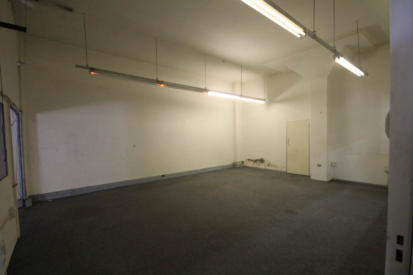 507  m² Industrial space in Greyville photo number 5