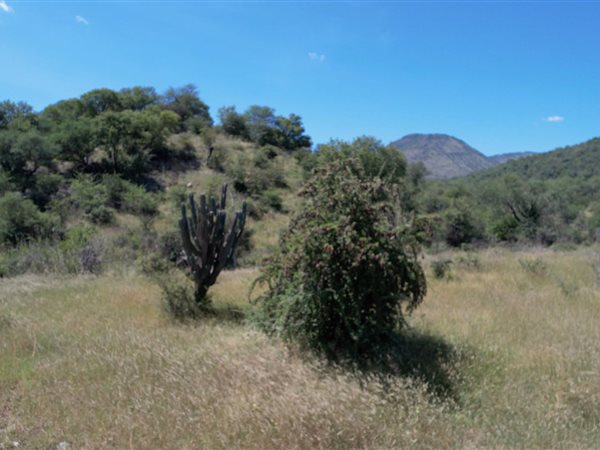 70 ha Land 70 ha Land