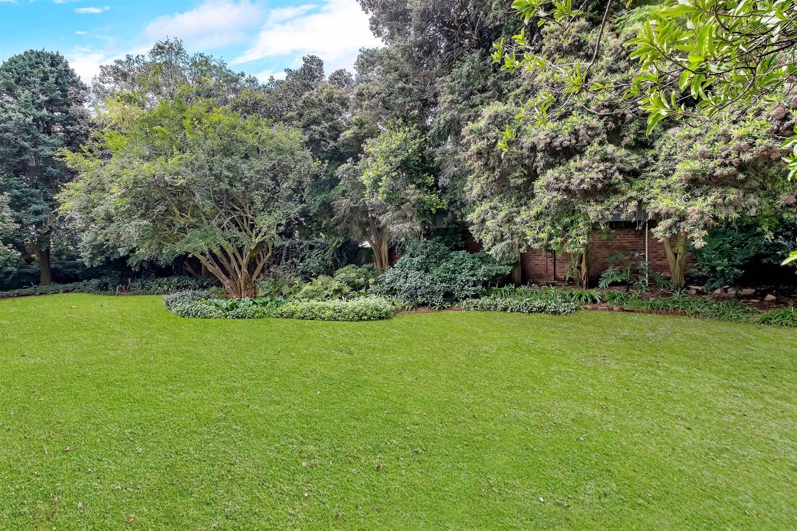 852 m² Land available in Parktown North photo number 6