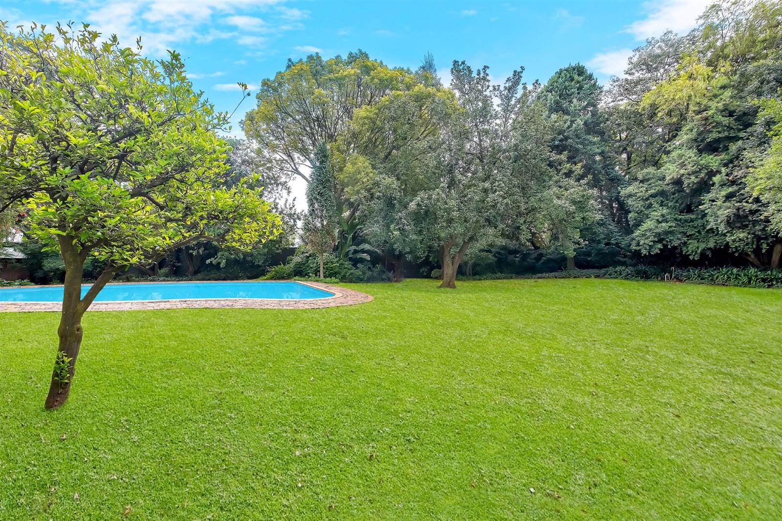 852 m² Land available in Parktown North photo number 8