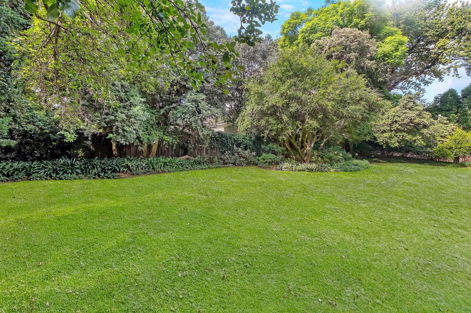 852 m² Land available in Parktown North photo number 10