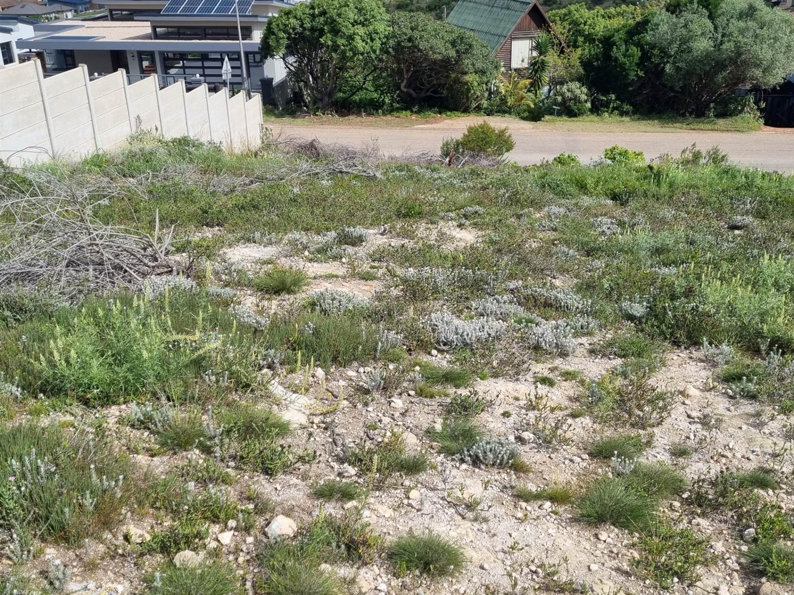 921 m² Land available in Dana Bay photo number 9