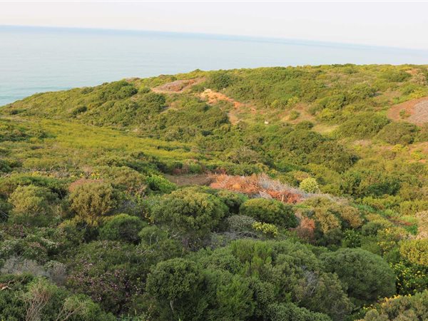5215 m² Land available in Paradise Beach