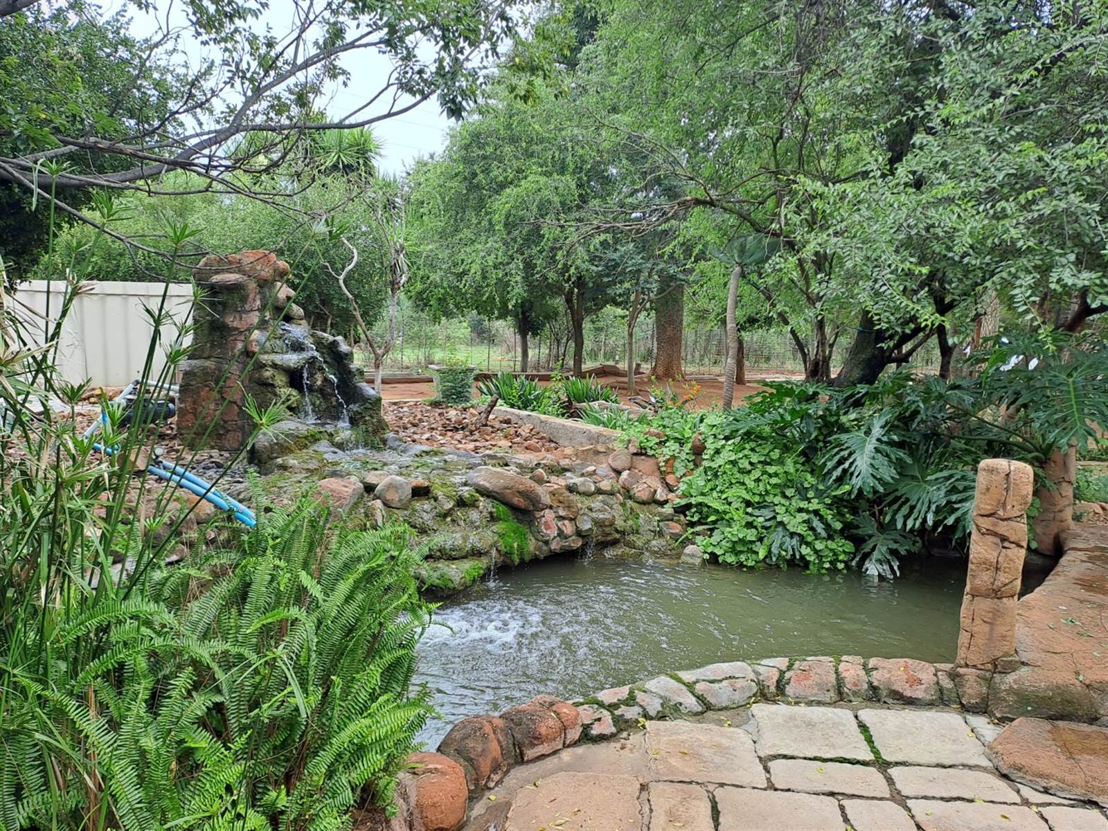 2 ha Farm in Kameelfontein and surrounds photo number 7