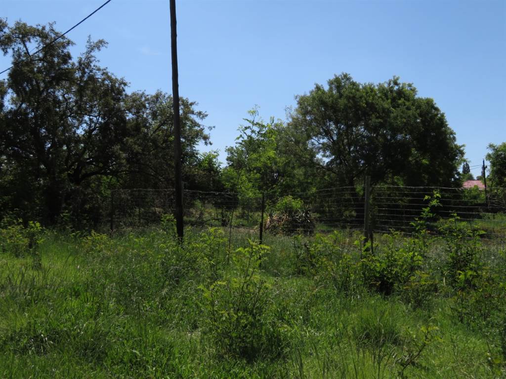1636 m² Land available in Fouriesburg photo number 3
