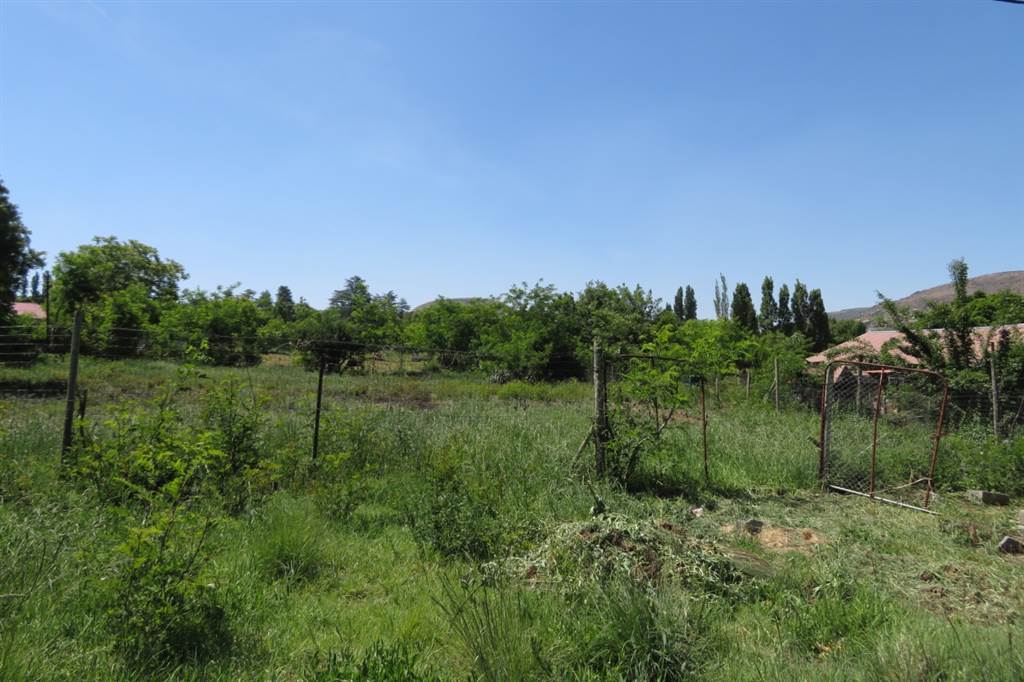 1636 m² Land available in Fouriesburg photo number 2