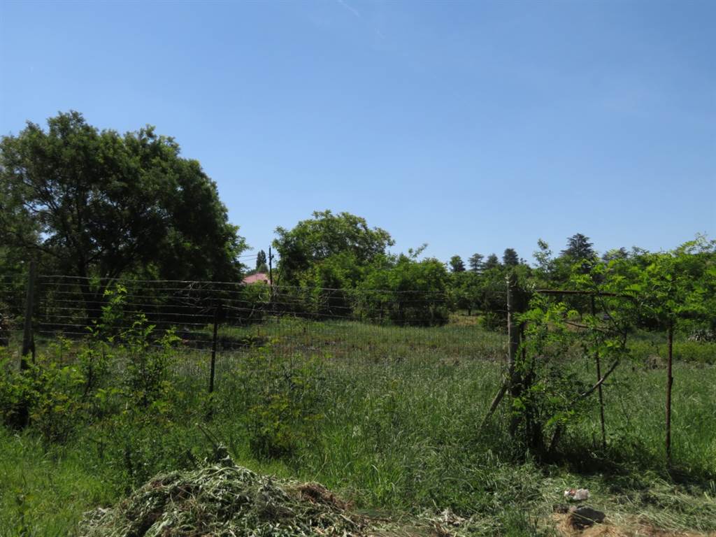 1636 m² Land available in Fouriesburg photo number 1