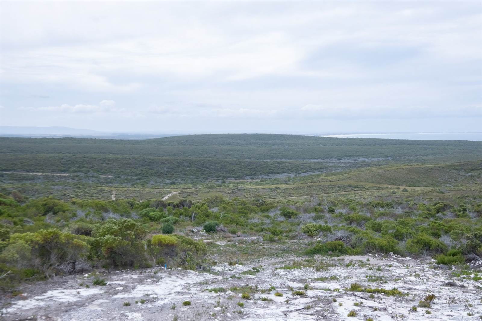 300 m² Land available in Agulhas photo number 15