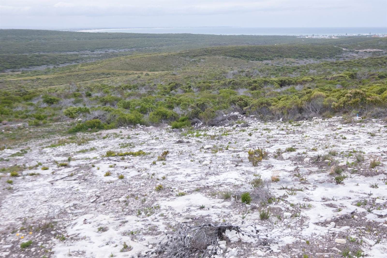 300 m² Land available in Agulhas photo number 14