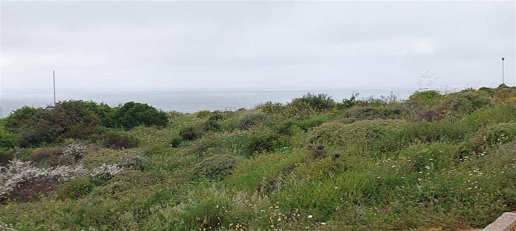 281 m² Land available in St Helena Views photo number 5