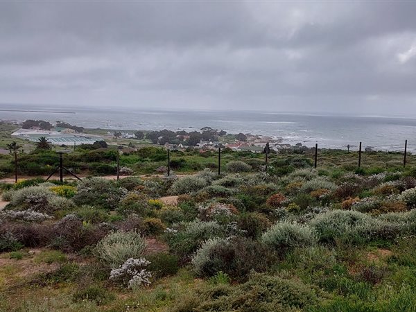 281 m² Land available in St Helena Views