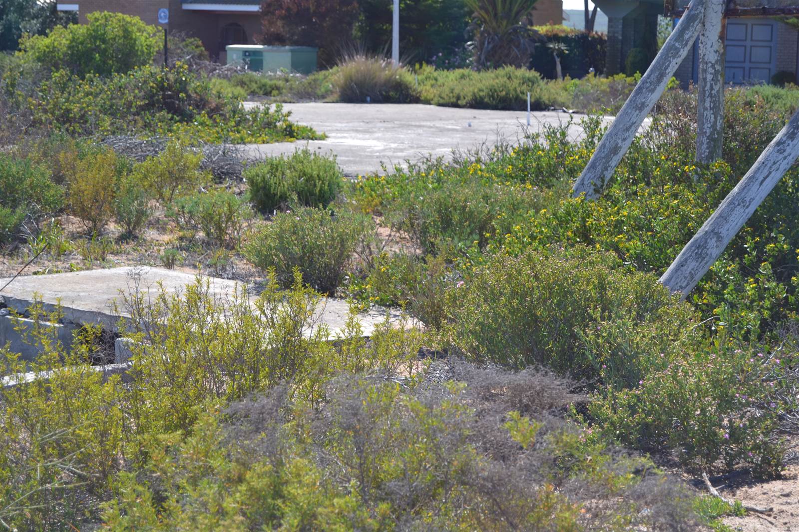 979 m² Land available in Lamberts Bay photo number 6