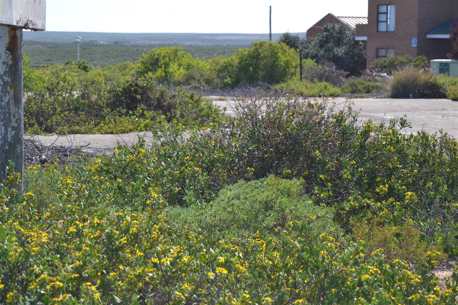 979 m² Land available in Lamberts Bay photo number 1