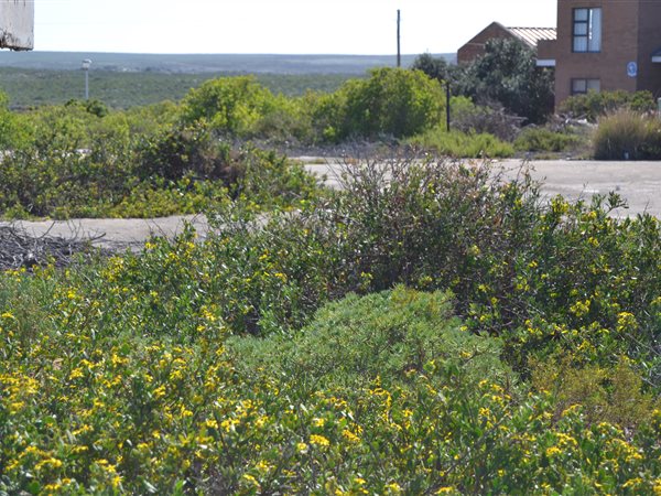 979 m² Land available in Lamberts Bay