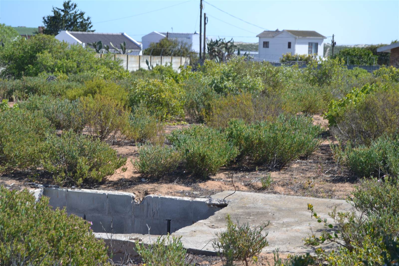 979 m² Land available in Lamberts Bay photo number 2
