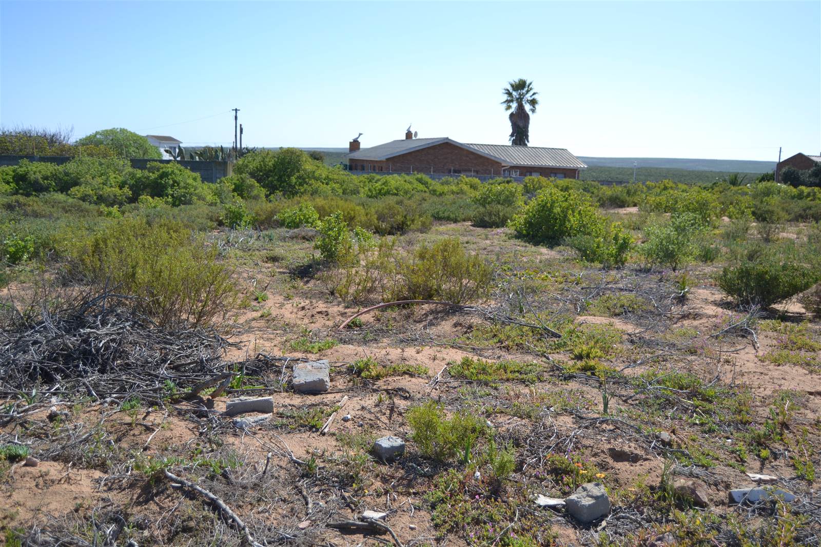 979 m² Land available in Lamberts Bay photo number 5