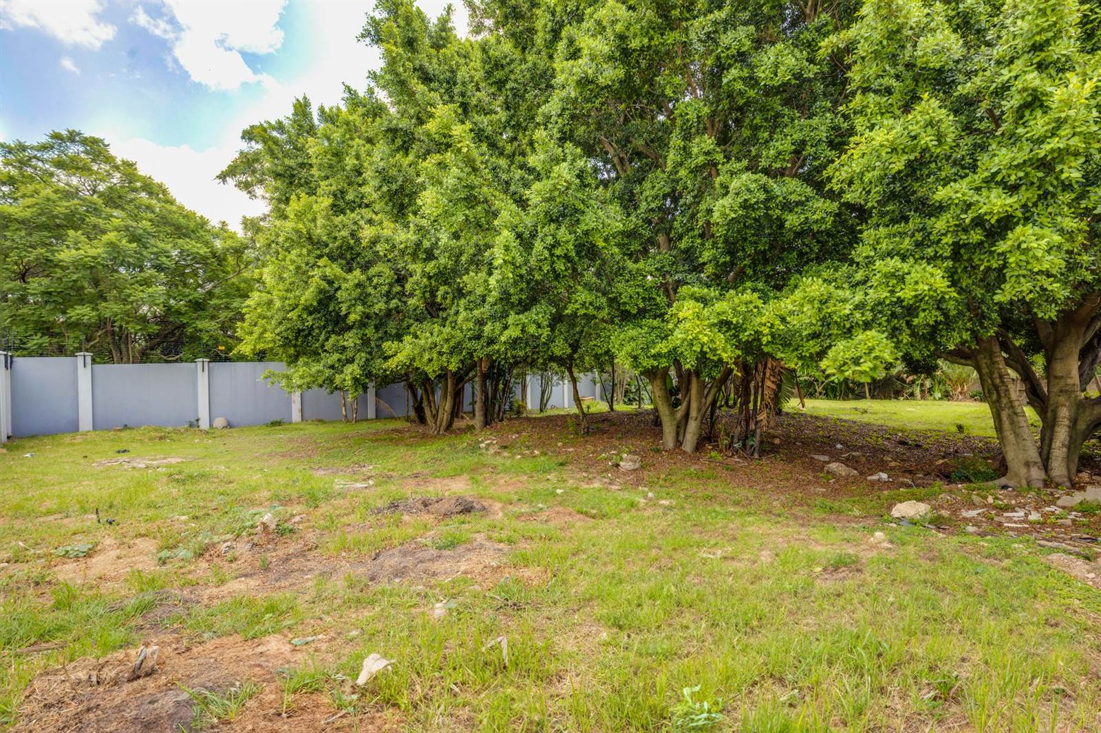 1585 m² Land available in Bryanston photo number 4