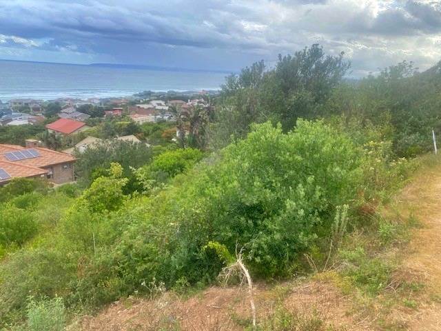 940 m² Land available in Outeniqua Strand photo number 3