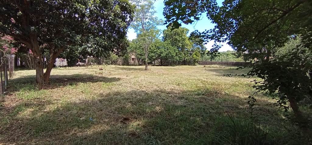 1736 m² Land available in Hatfield photo number 7