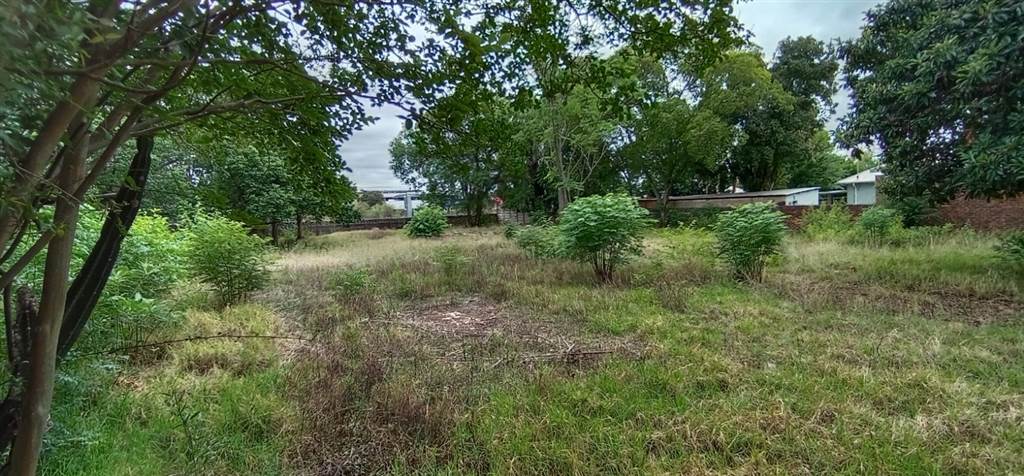 1736 m² Land available in Hatfield photo number 5