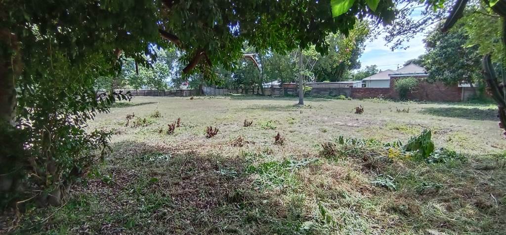 1736 m² Land available in Hatfield photo number 8