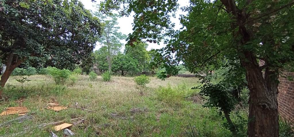 1736 m² Land available in Hatfield photo number 6