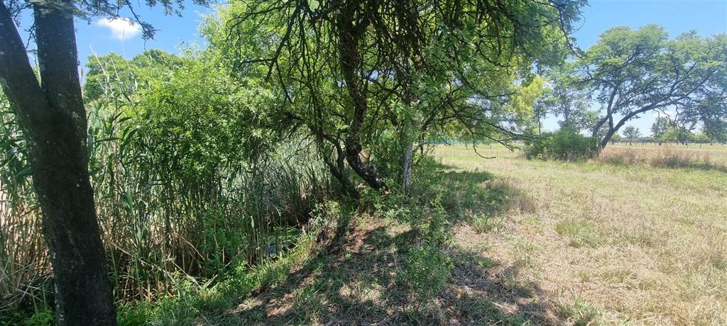 1000 m² Land available in Boschkop photo number 21