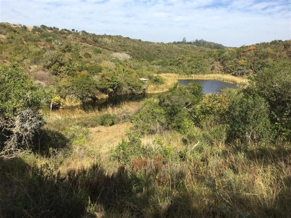 11 ha Land available in Bathurst and Surrounds