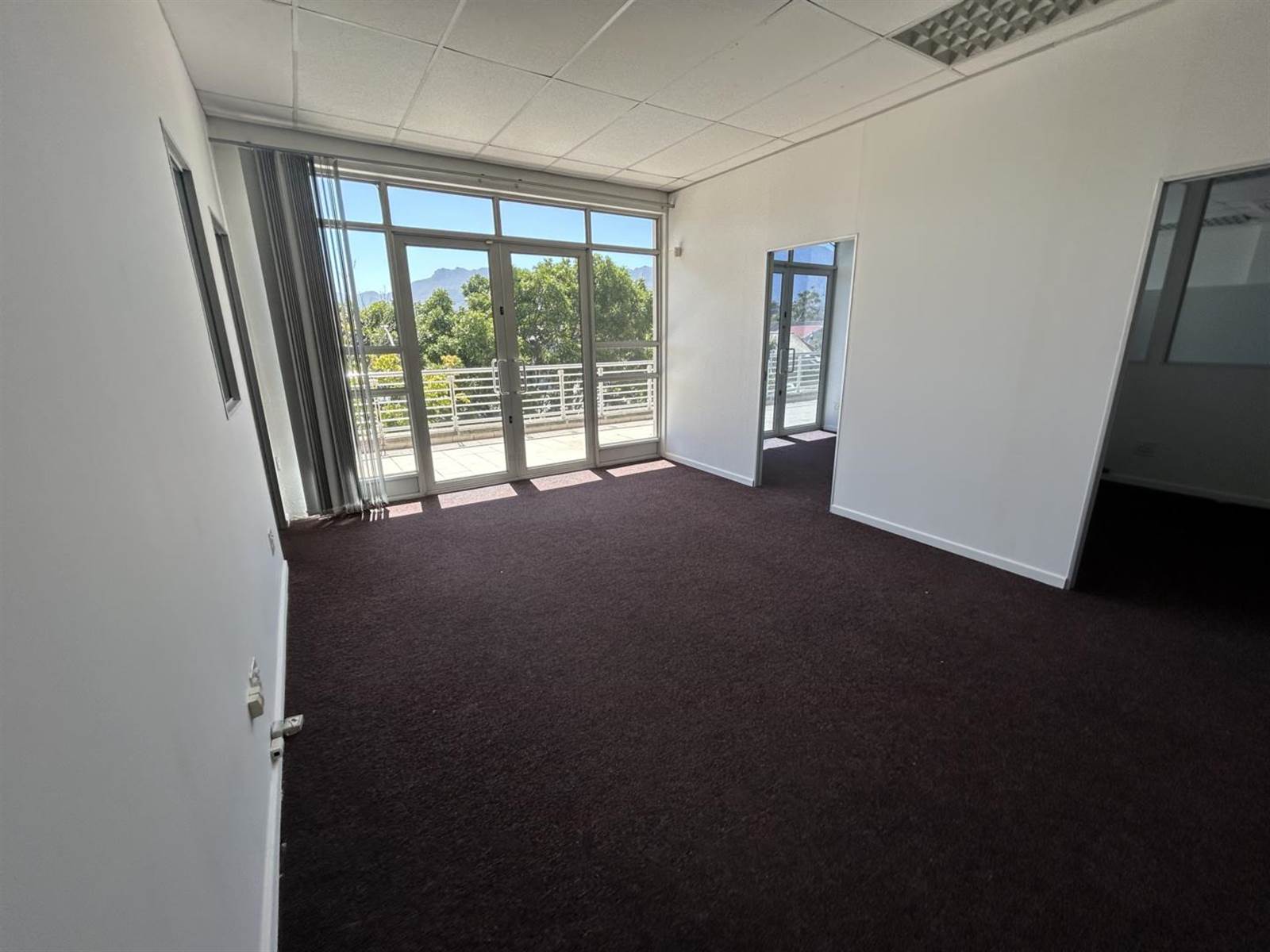 253.71  m² Office Space in Plumstead photo number 13