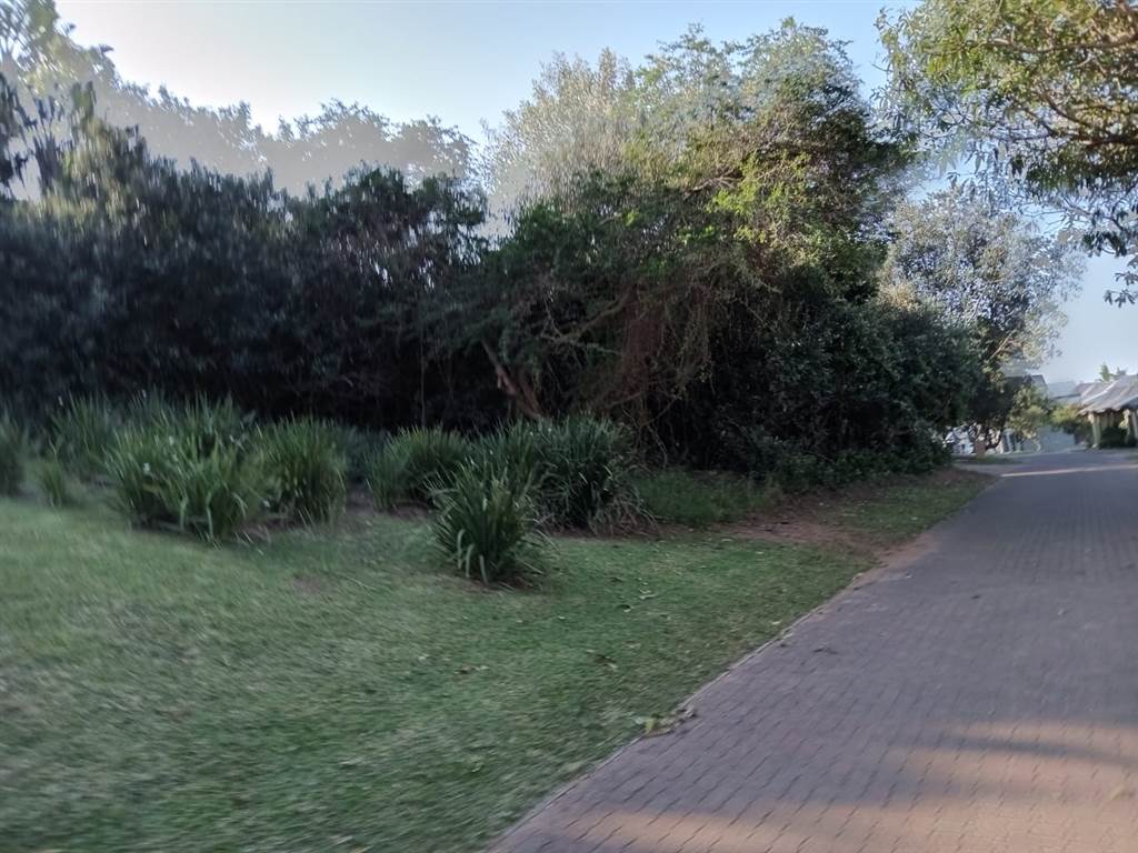512 m² Land available in Princes Grant Golf Estate photo number 11