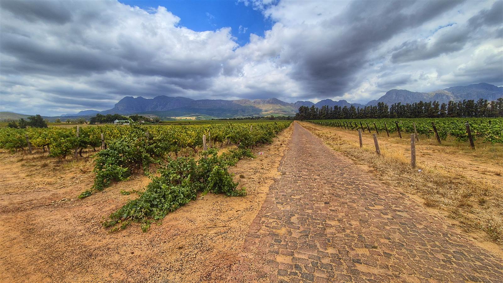 37 ha Farm in Northern Paarl photo number 4