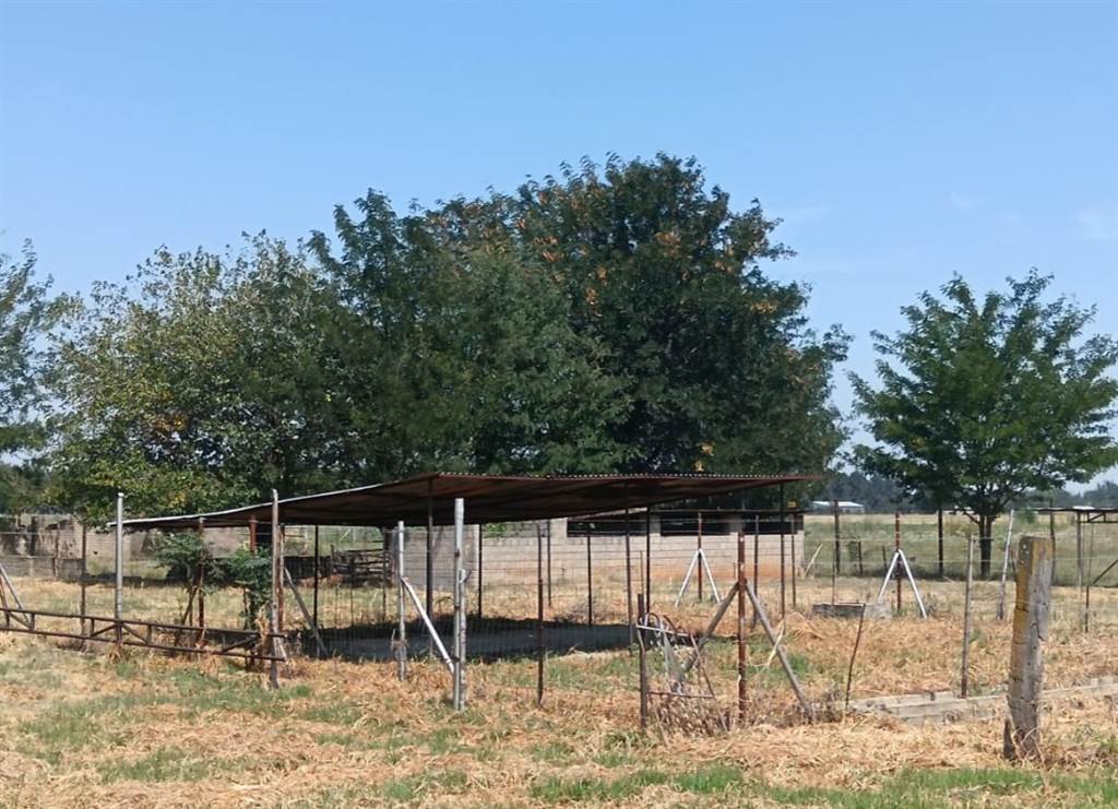 9 ha Farm in Zuurfontein photo number 6