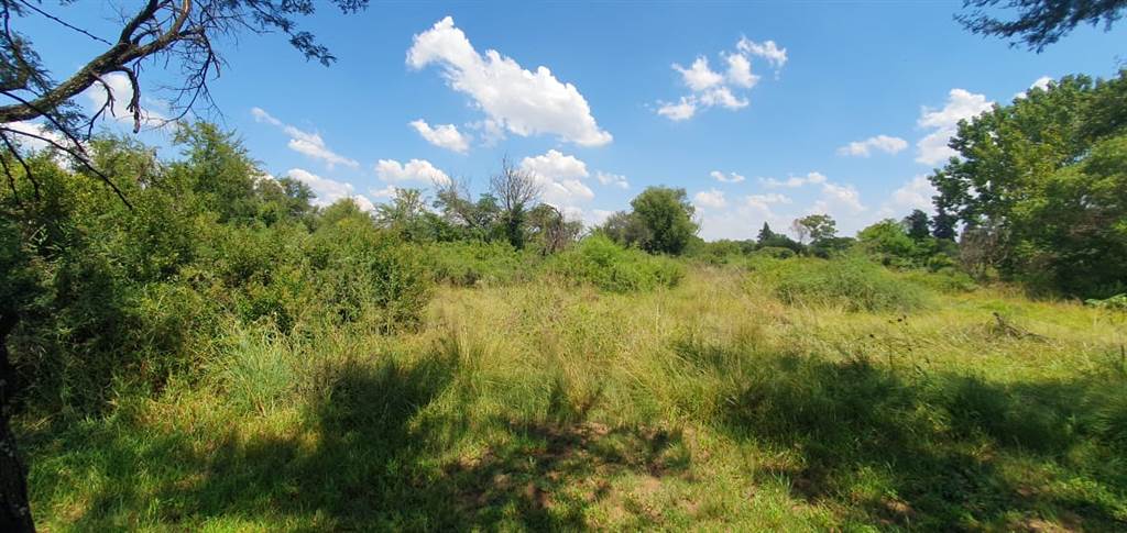 841 m² Land available in Parys photo number 6