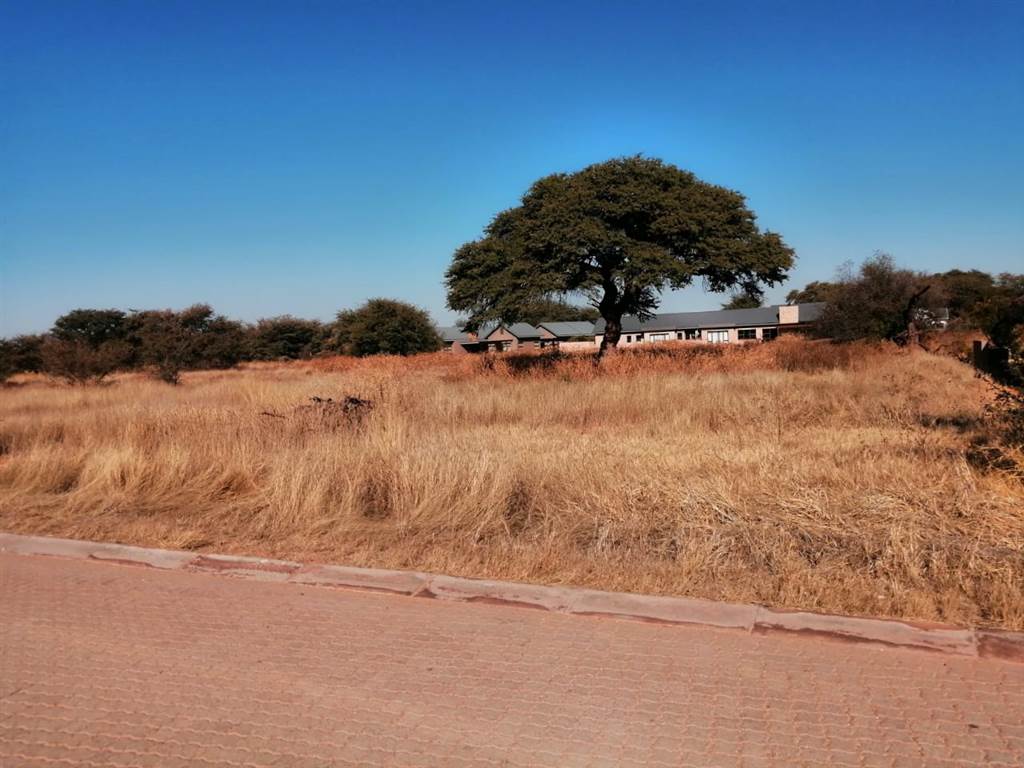1000 m² Land available in Kathu photo number 6