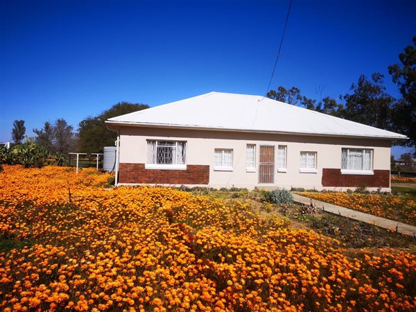 3 Bedroom House 3 Bedroom House