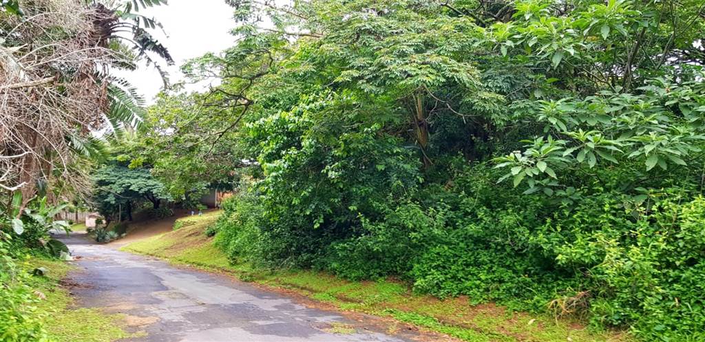 1504 m² Land available in Hibberdene photo number 7