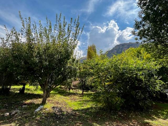 1071 m² Land available in Clarens photo number 7
