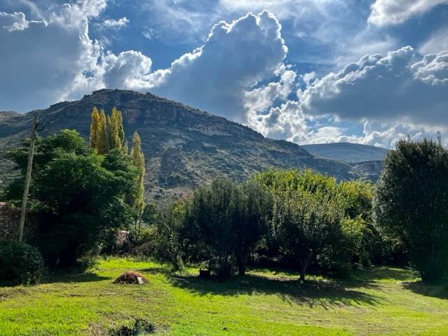 1071 m² Land available in Clarens photo number 2