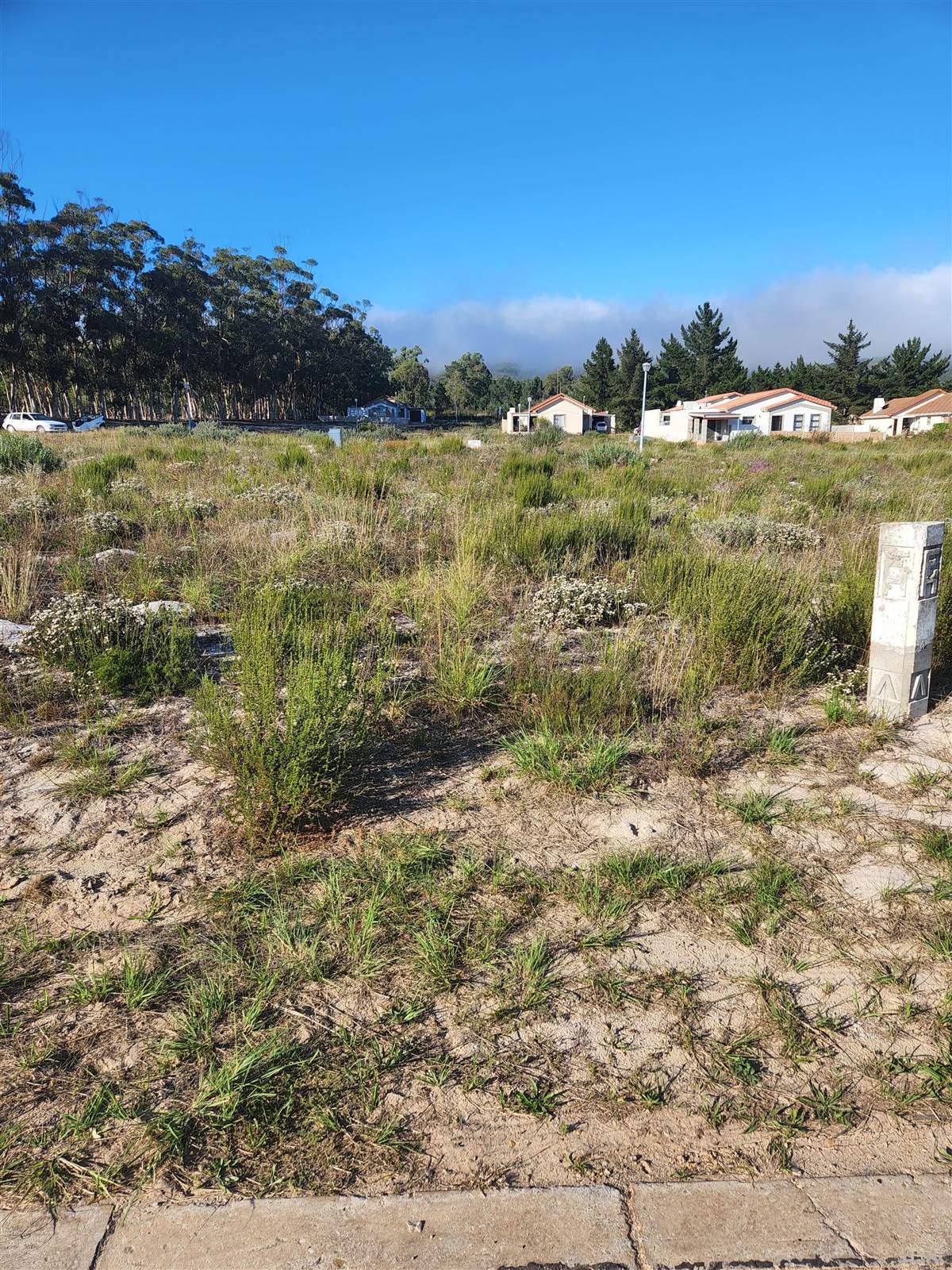 196 m² Land available in Albertinia photo number 1