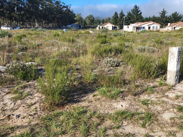 196 m² Land available in Albertinia