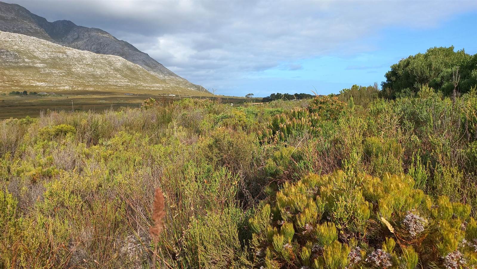 620 m² Land available in Pringle Bay photo number 3