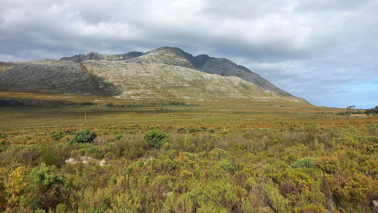 620 m² Land available in Pringle Bay photo number 5
