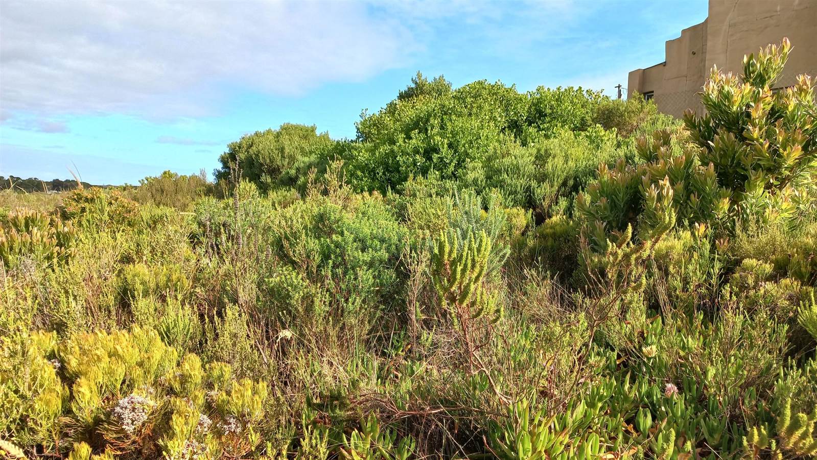 620 m² Land available in Pringle Bay photo number 13